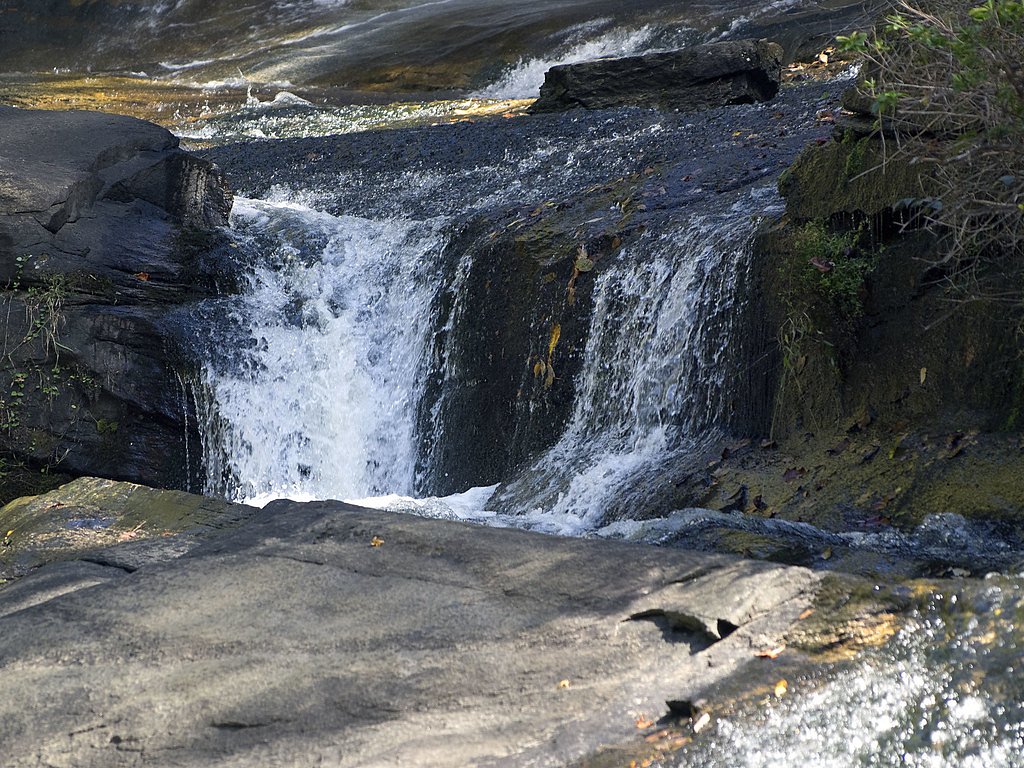 Reedy Cove Falls waterfall
