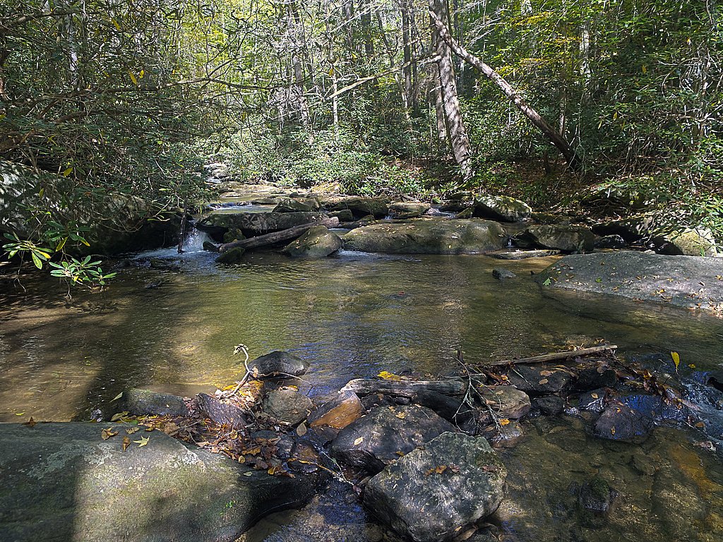 Reedy Cove Falls waterfall