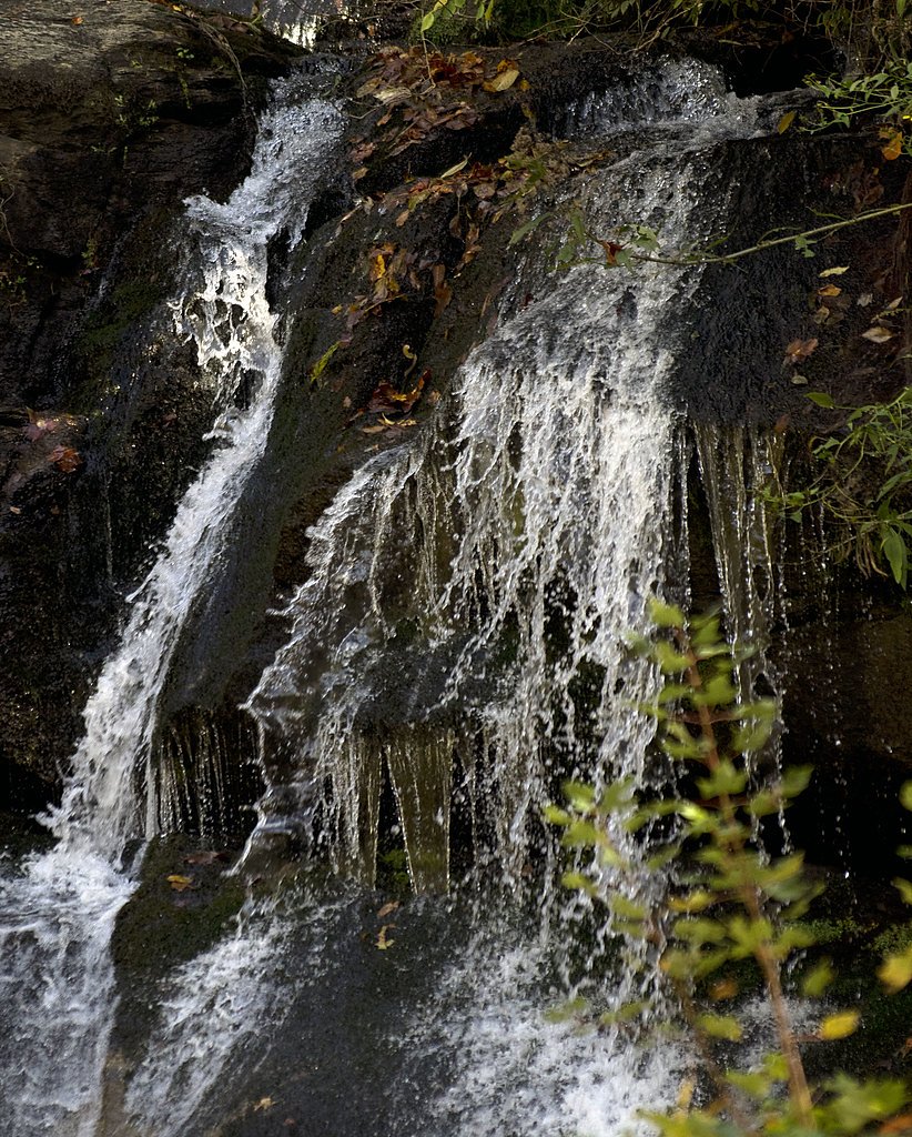 Reedy Cove Falls waterfall