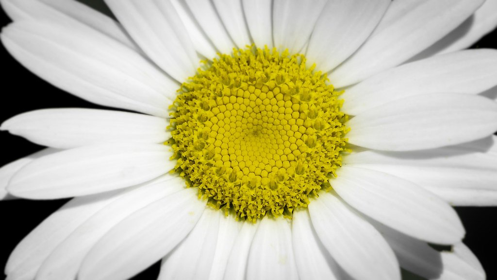 Reems Creek Falls waterfall