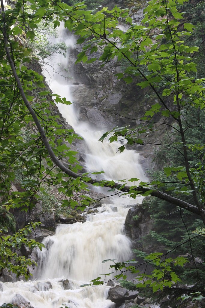 Reid Falls waterfall