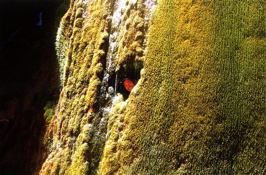 Ribbon Falls waterfall
