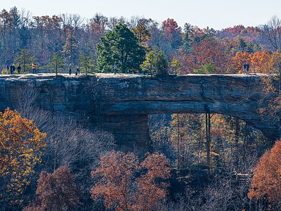Rock Bridge Falls, KY