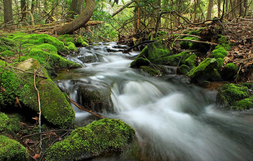 Rock Creek Falls waterfall