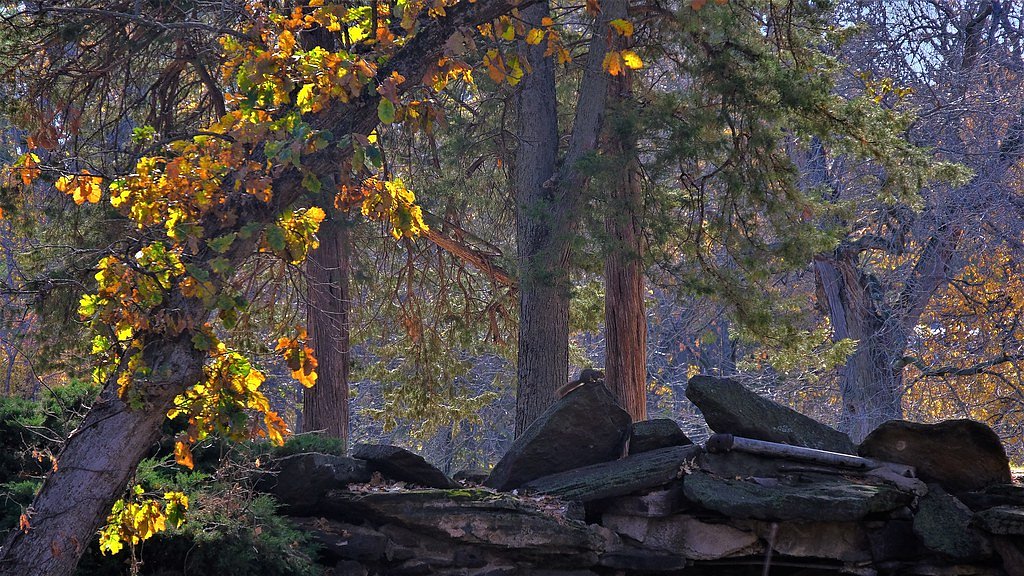 Rock Falls waterfall