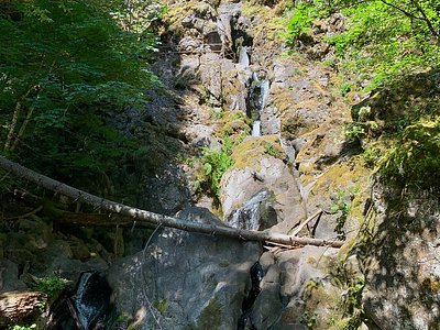 Rodney Falls