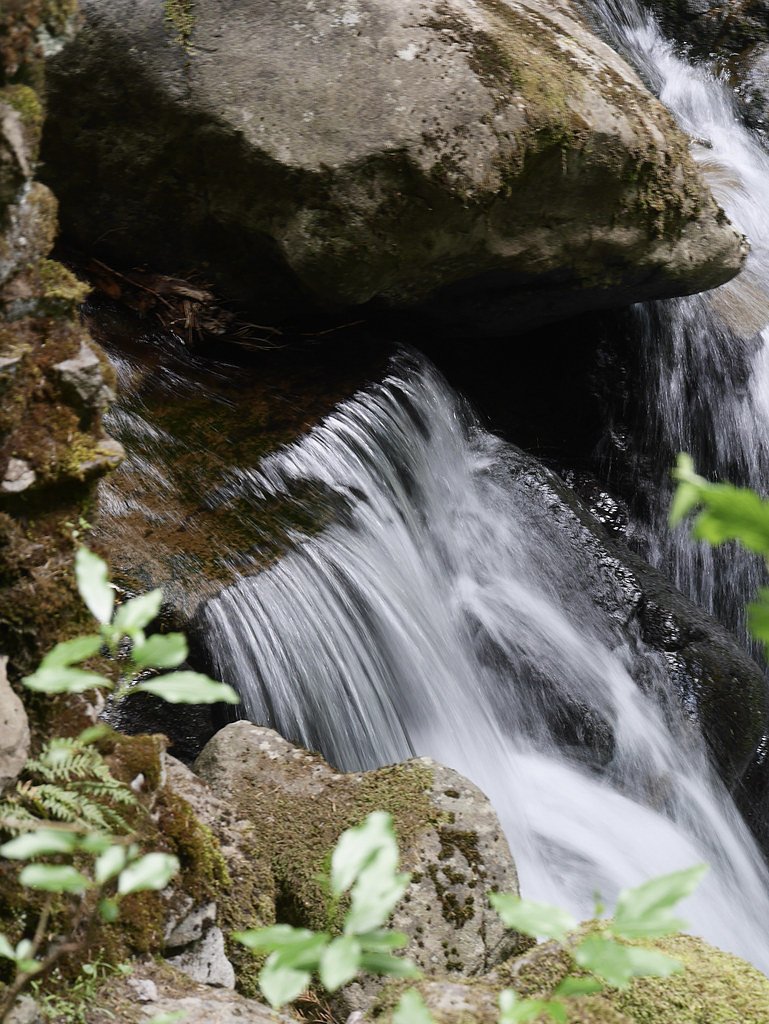 Rodney Falls waterfall