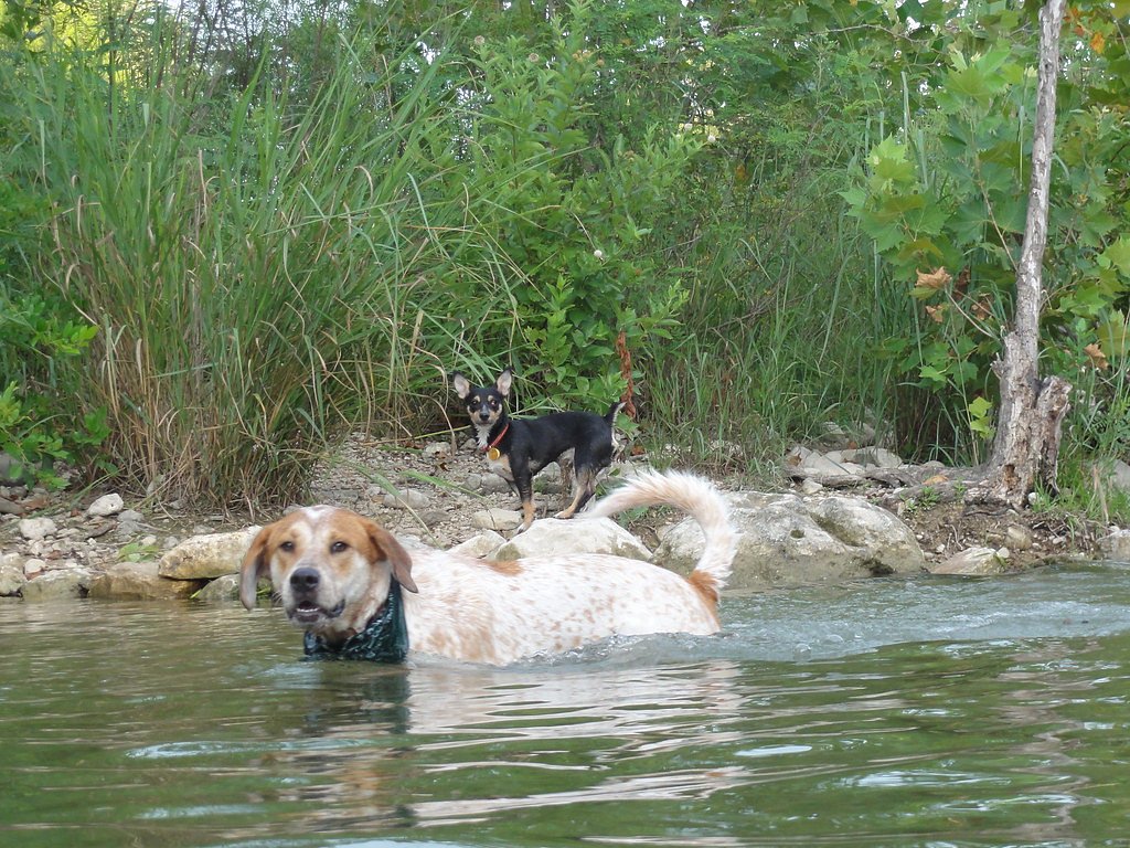 Roos Falls waterfall