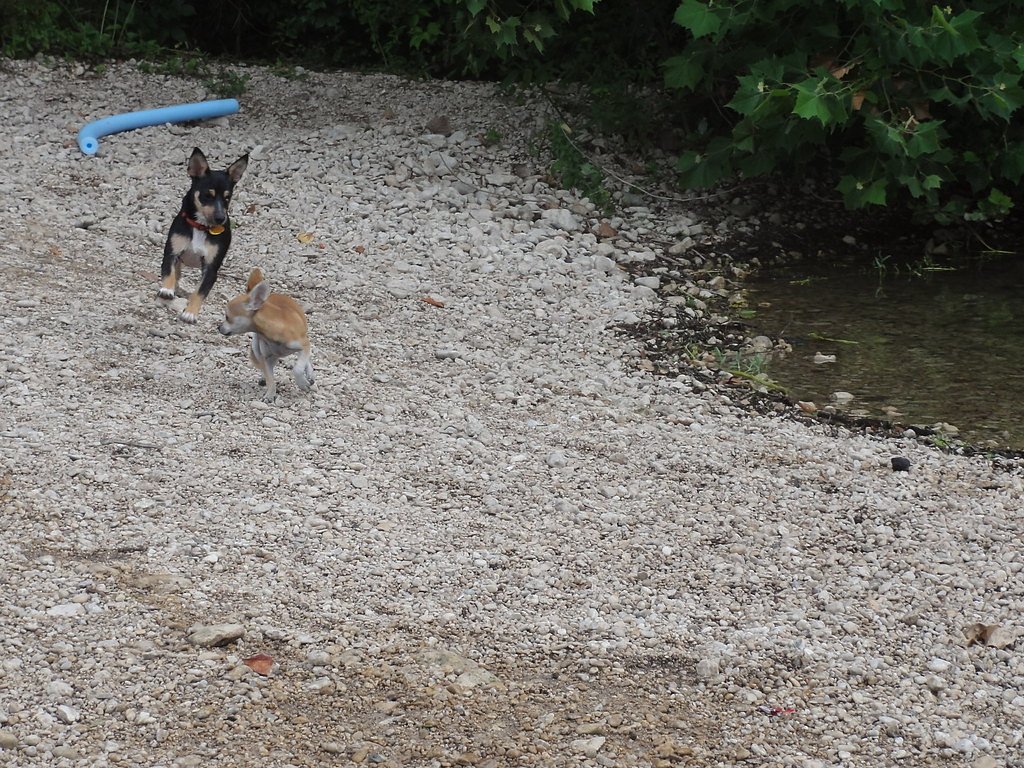 Roos Falls waterfall