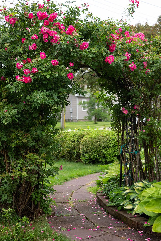 Rose Falls (West) waterfall