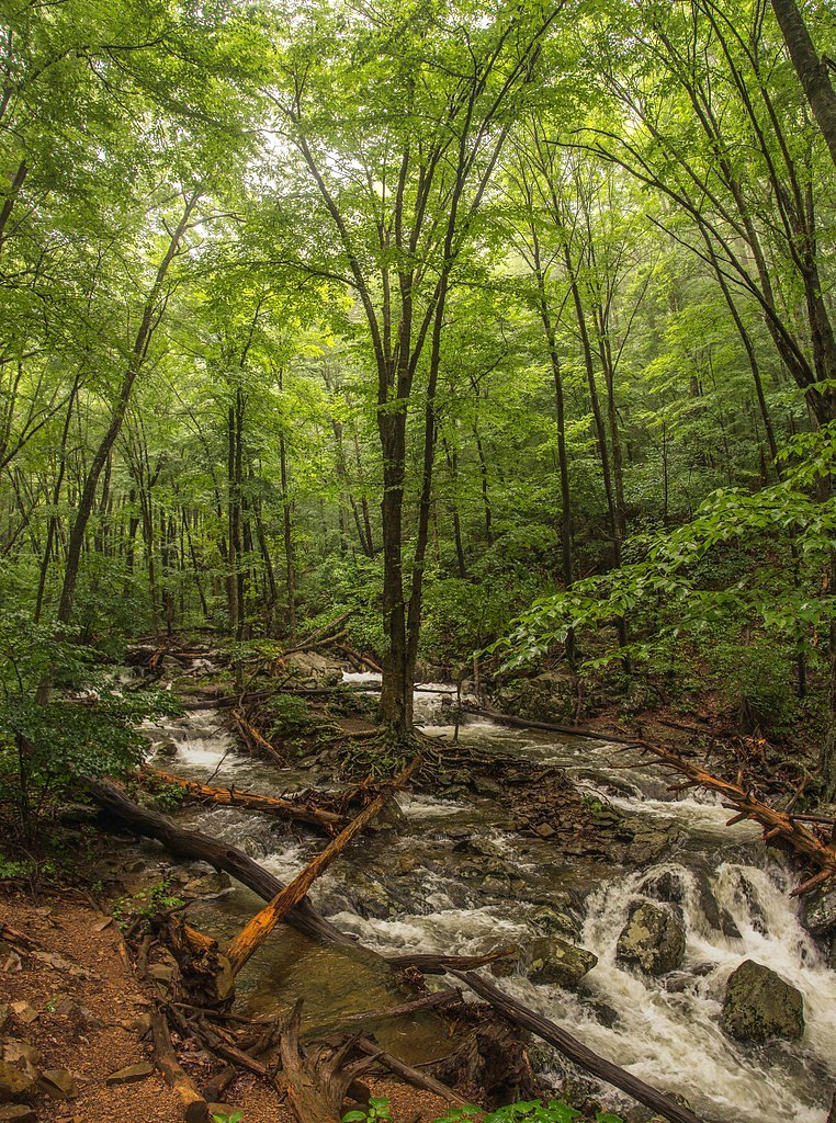 Rose River Falls waterfall