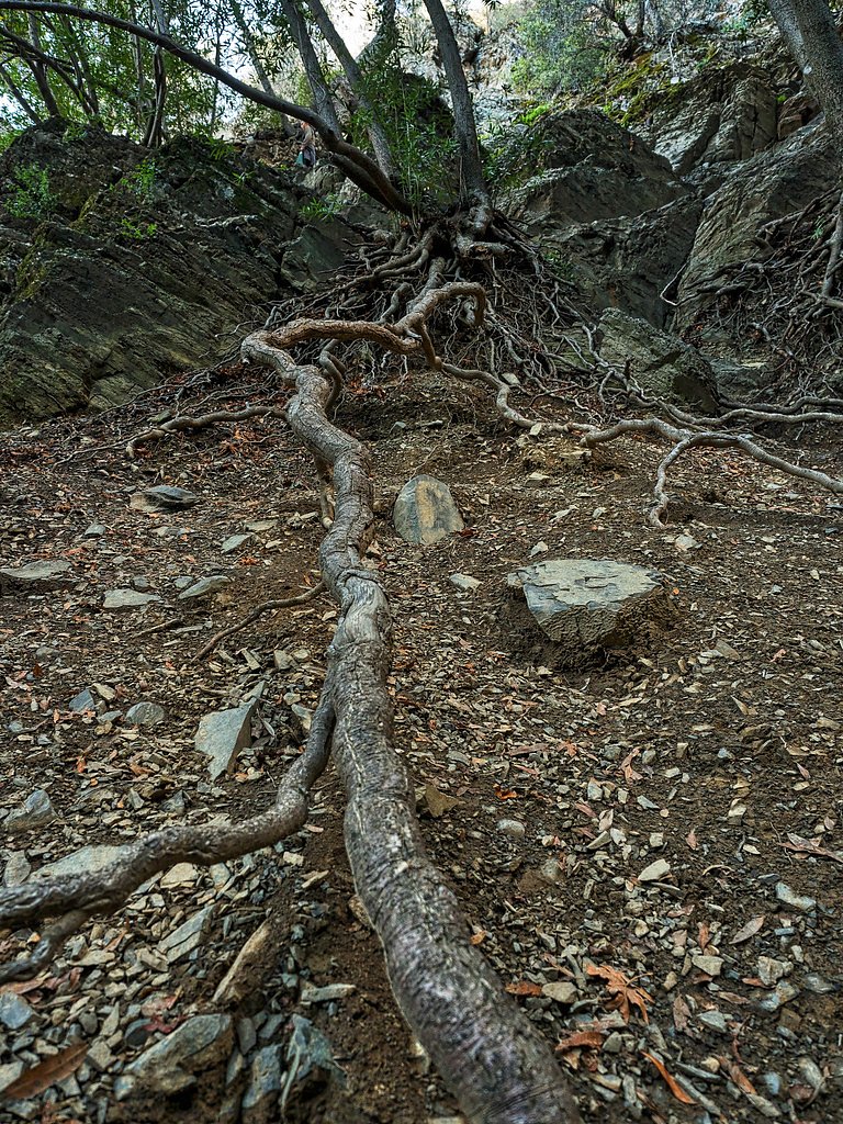 Rose Valley Falls waterfall