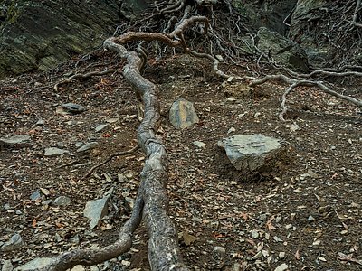 Rose Valley Falls