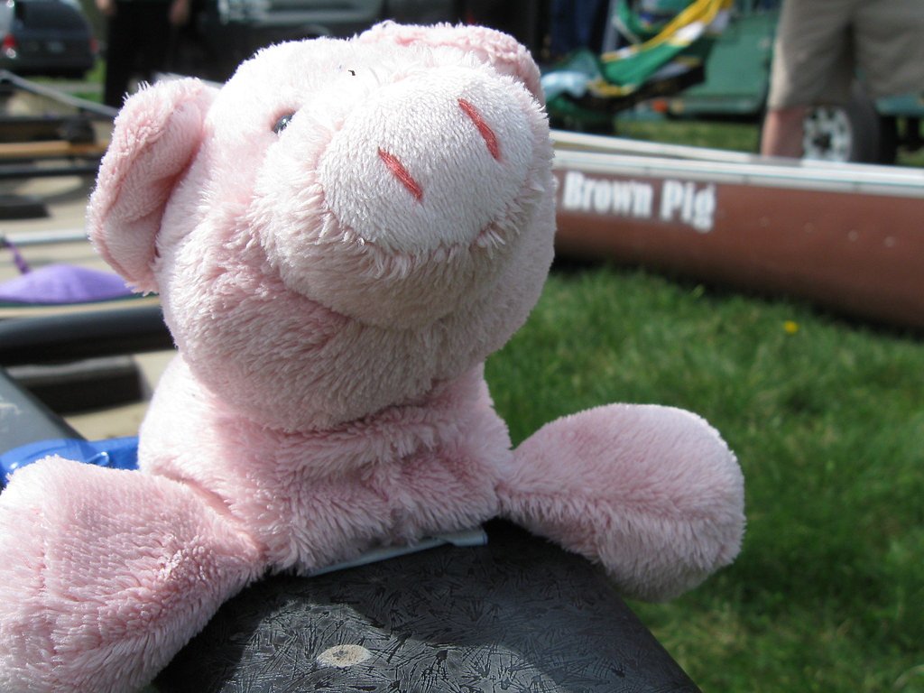 Rushton Falls waterfall