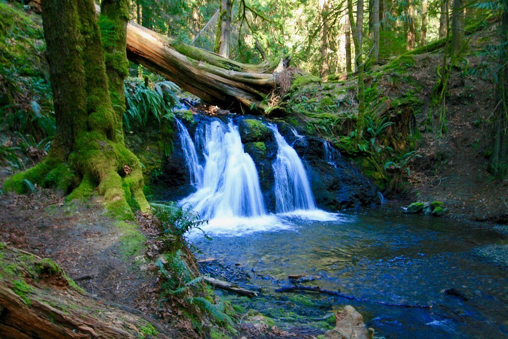 Rustic Falls waterfall