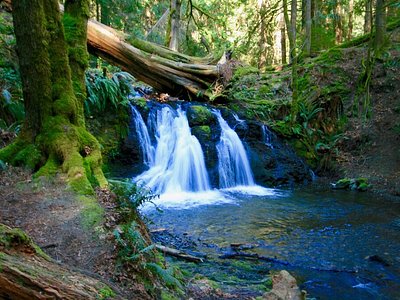 Rustic Falls