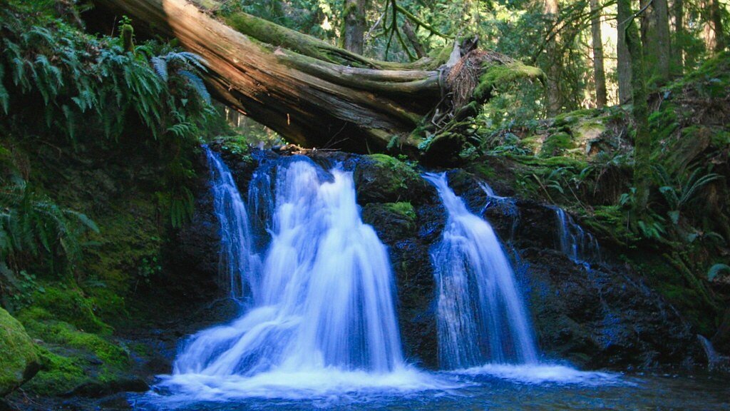 Rustic Falls waterfall