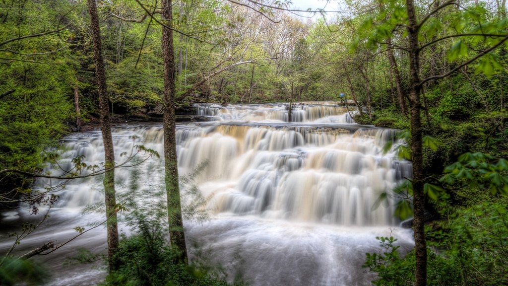 Rutledge Falls waterfall