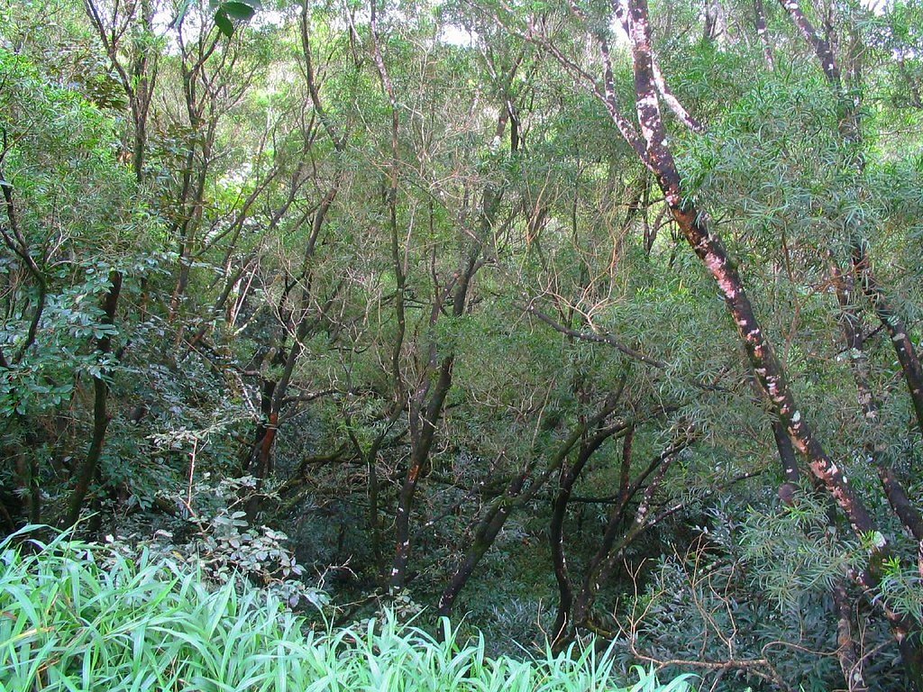 Sacred Falls waterfall