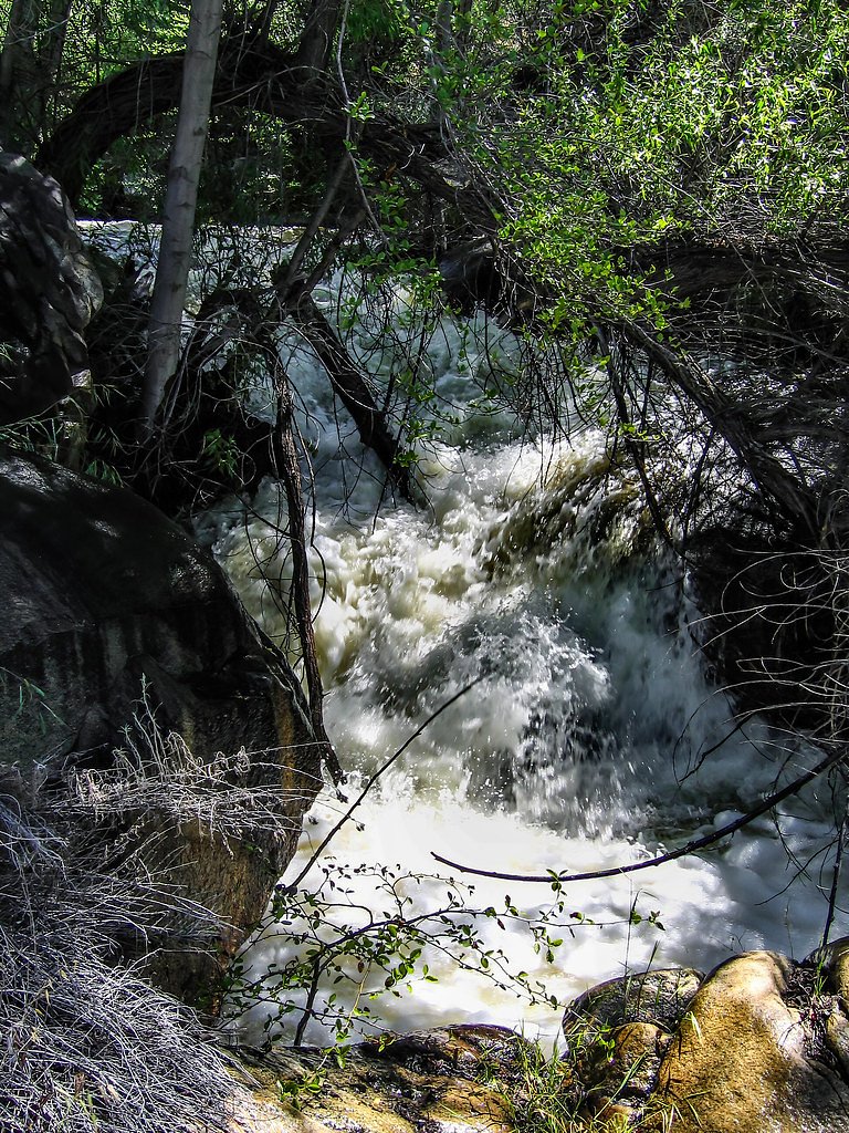 Salmon Creek Falls waterfall