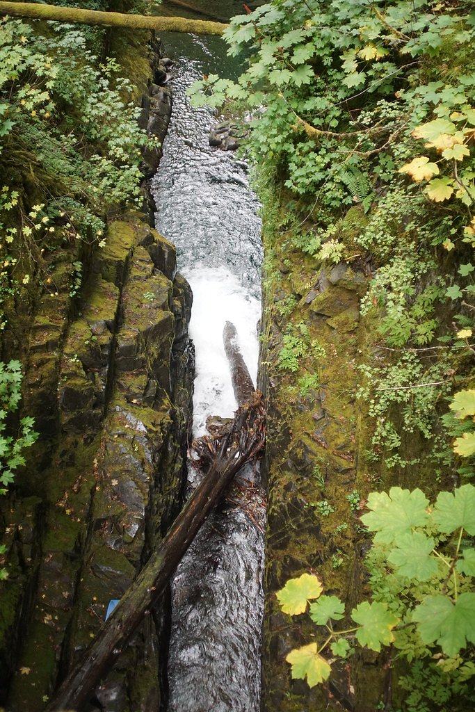 Salmon Falls waterfall