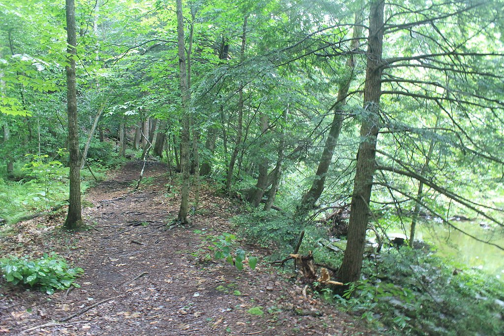 Salmon River Falls waterfall