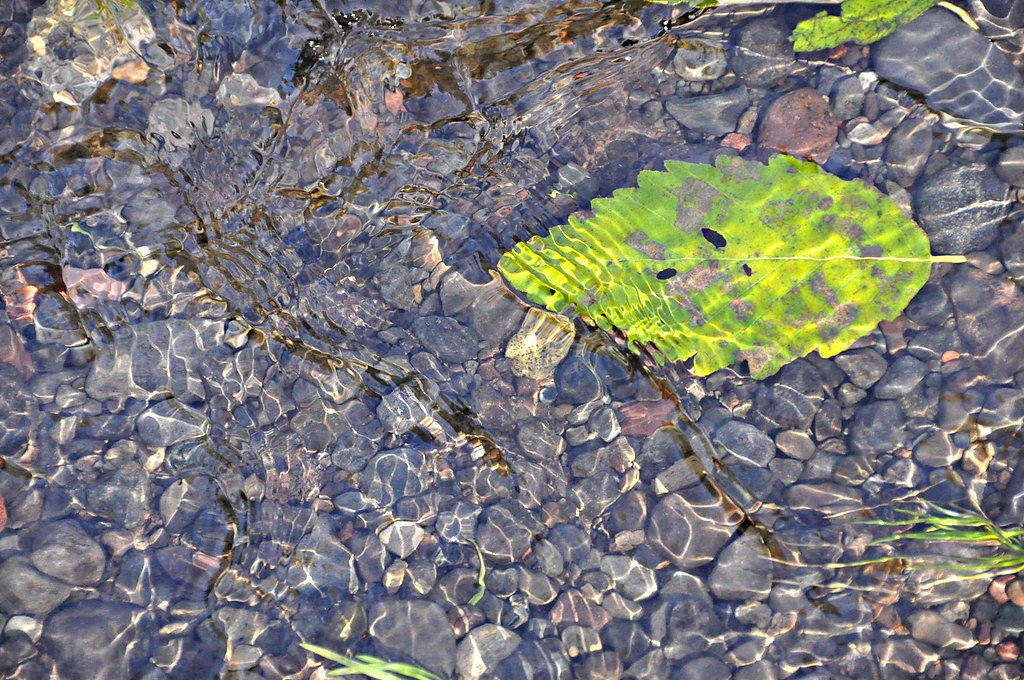 Salt Creek Falls waterfall