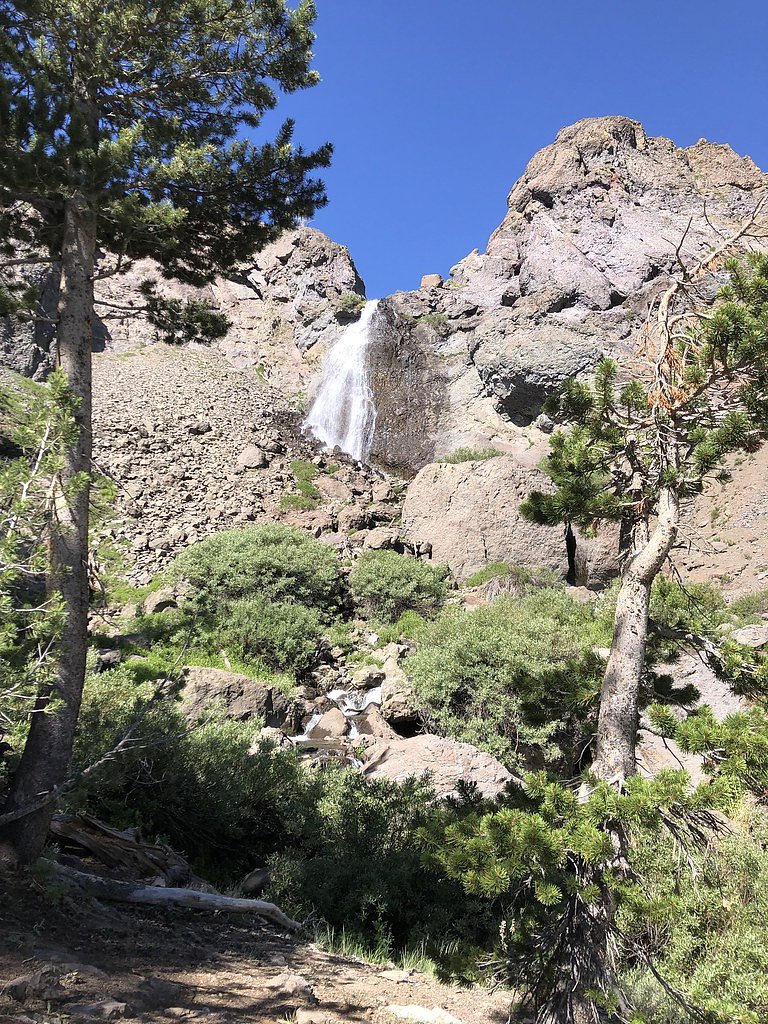 Sardine Falls waterfall