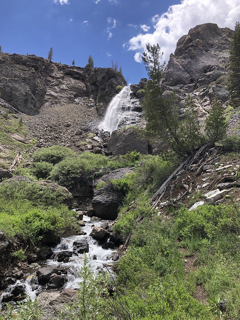 Sardine Falls waterfall