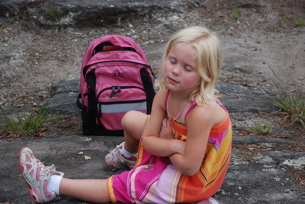 Satulah Falls waterfall