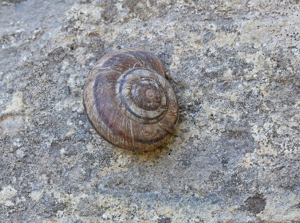 Scout Falls waterfall