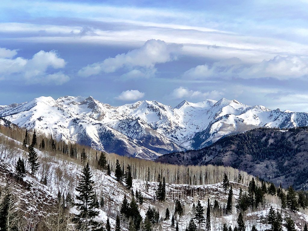 Scout Falls waterfall