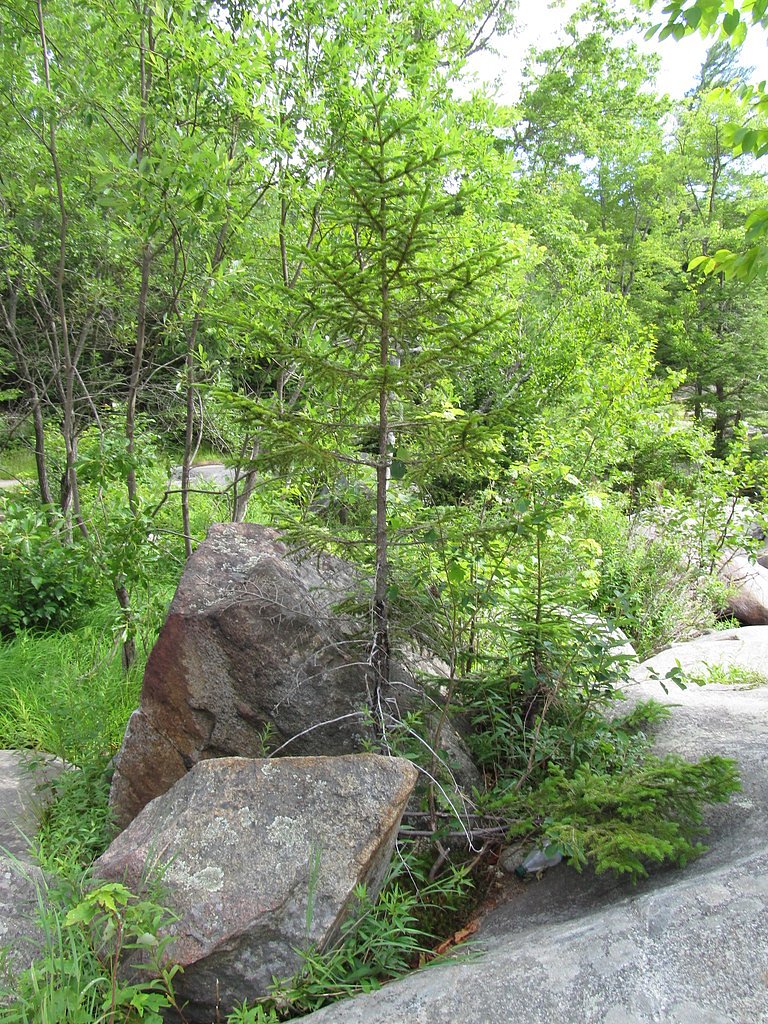 Screw Auger Falls waterfall