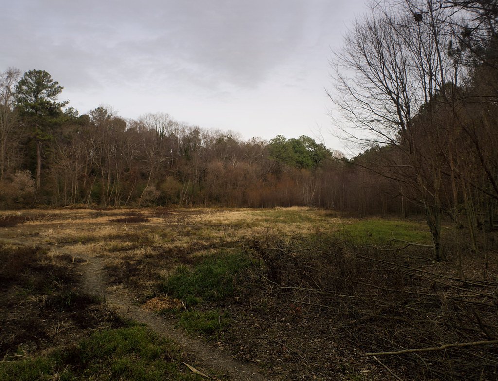 Sea Creek Falls waterfall