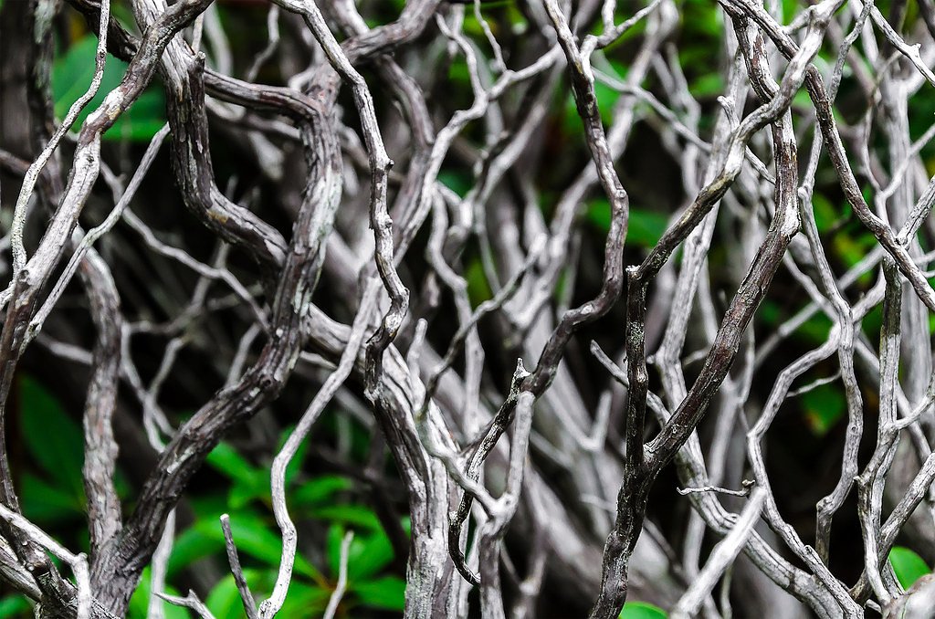 Second Falls waterfall