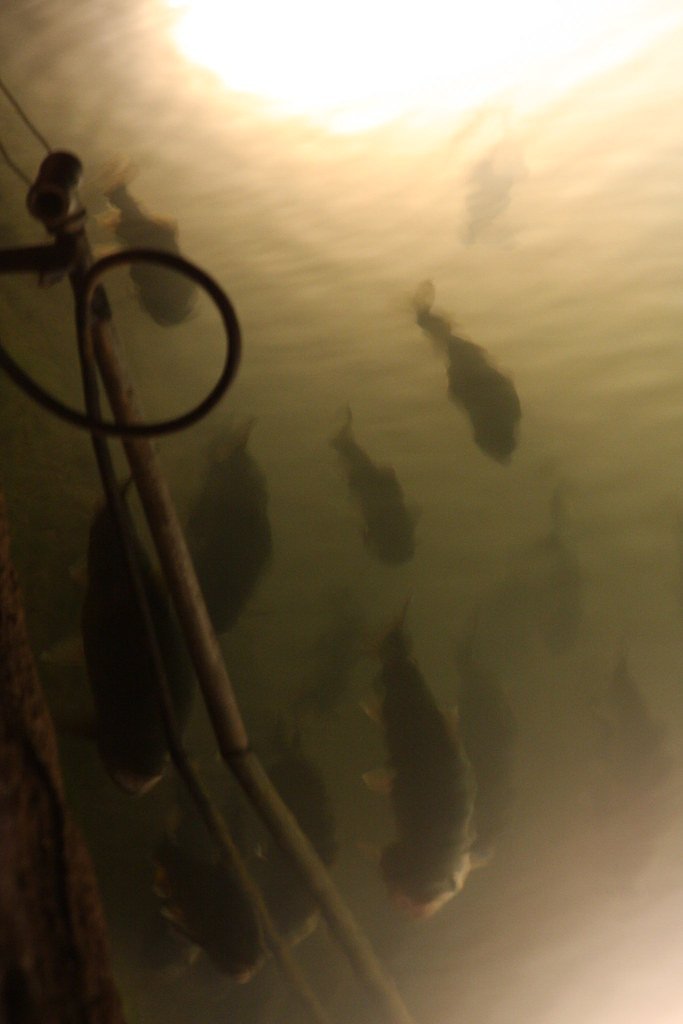 Seven Falls waterfall