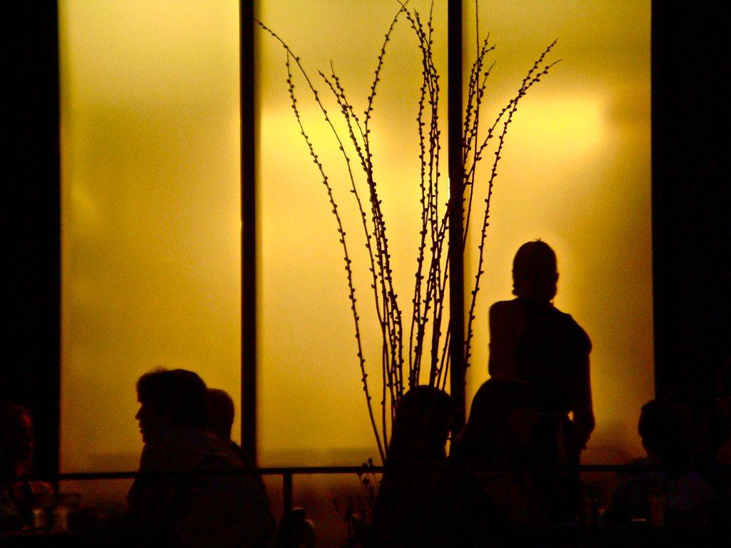 Shadow Falls waterfall