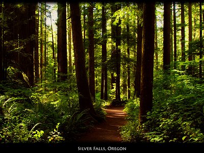 Shadow Falls