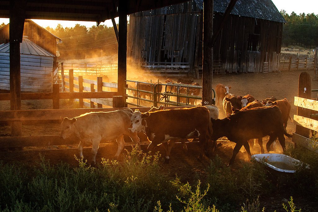 Shadow Falls waterfall