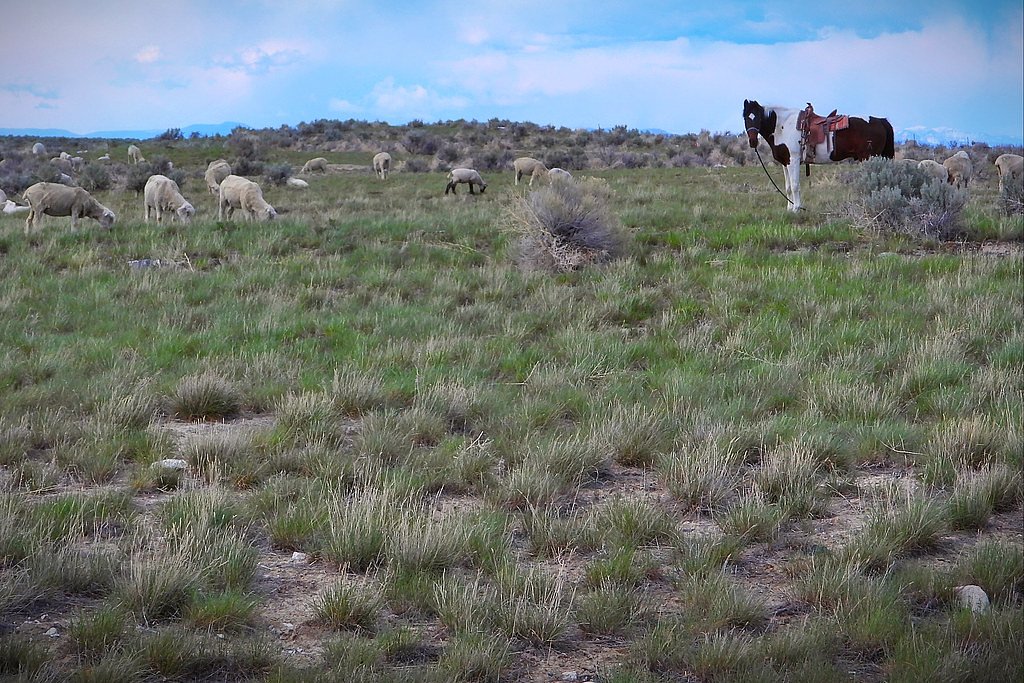 Sheep Falls waterfall