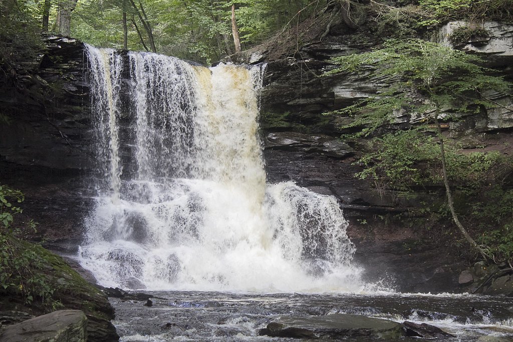 Sheldon Reynolds Falls waterfall