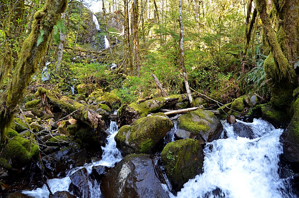 Shellburg Falls waterfall