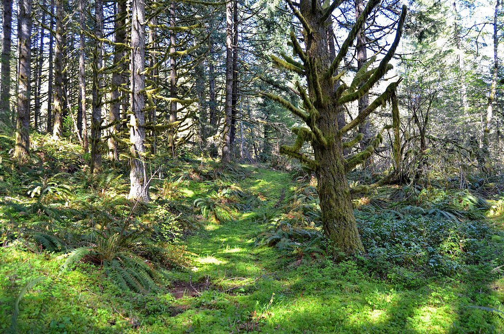 Shellburg Falls waterfall