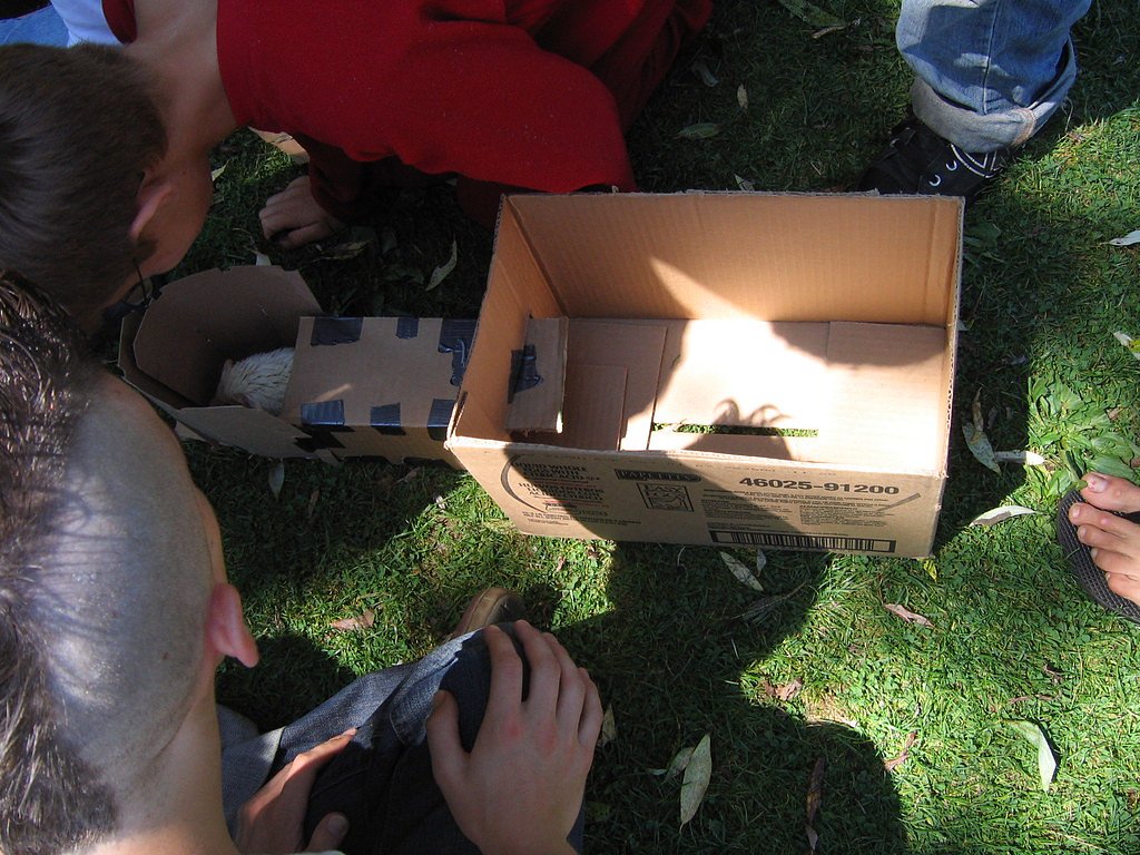 Shohola Falls waterfall