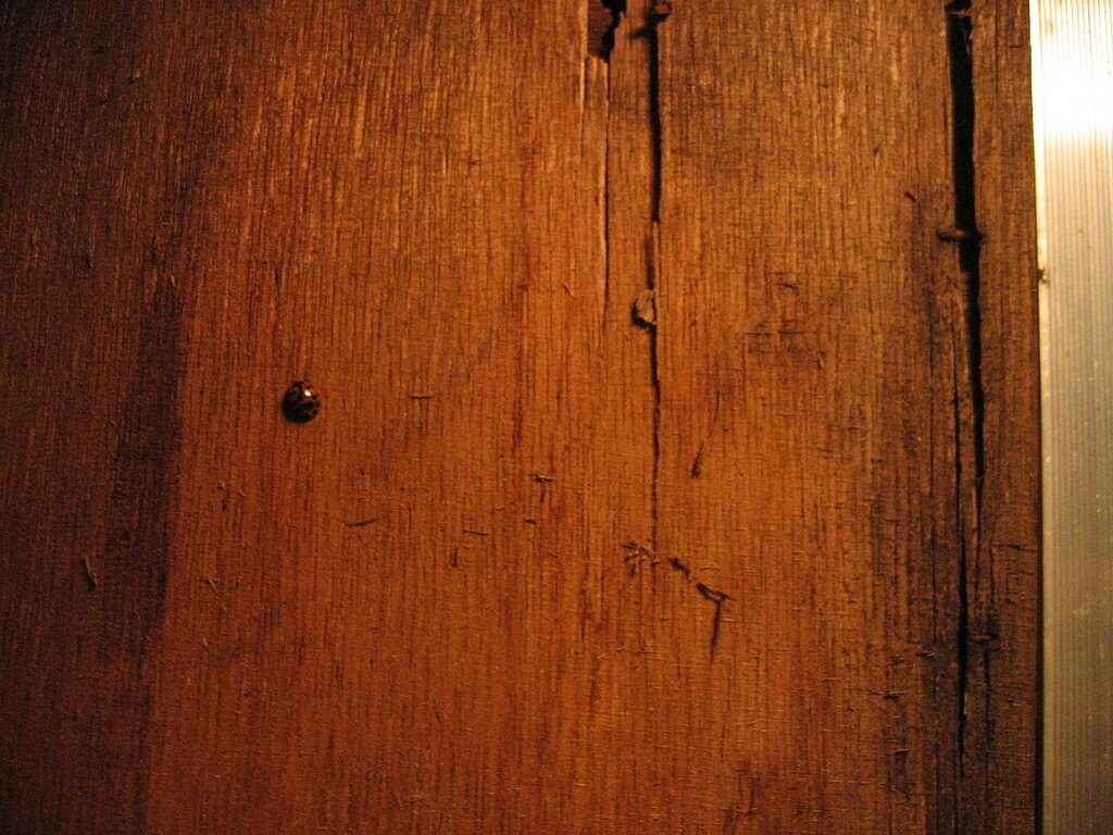 Shohola Falls waterfall