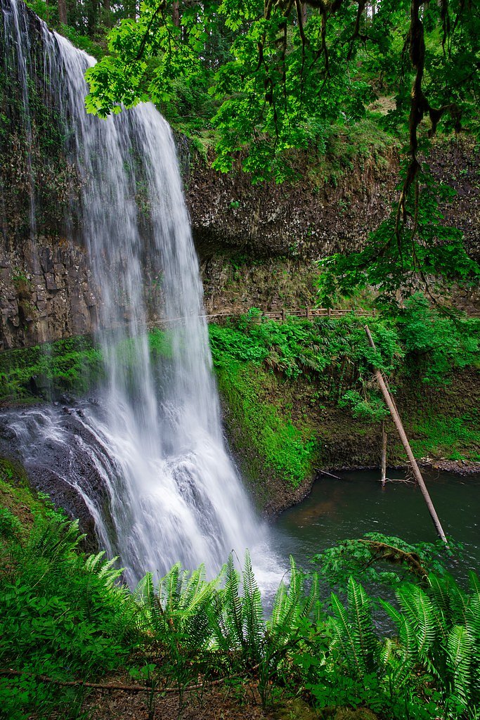 Silver Falls waterfall