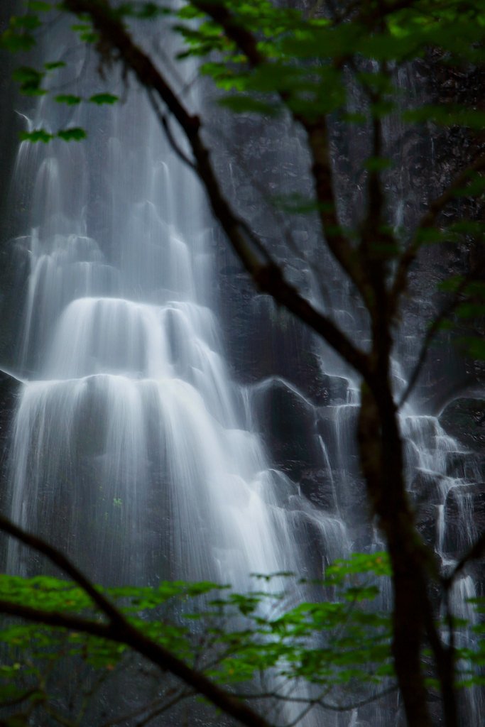 Silver Falls waterfall