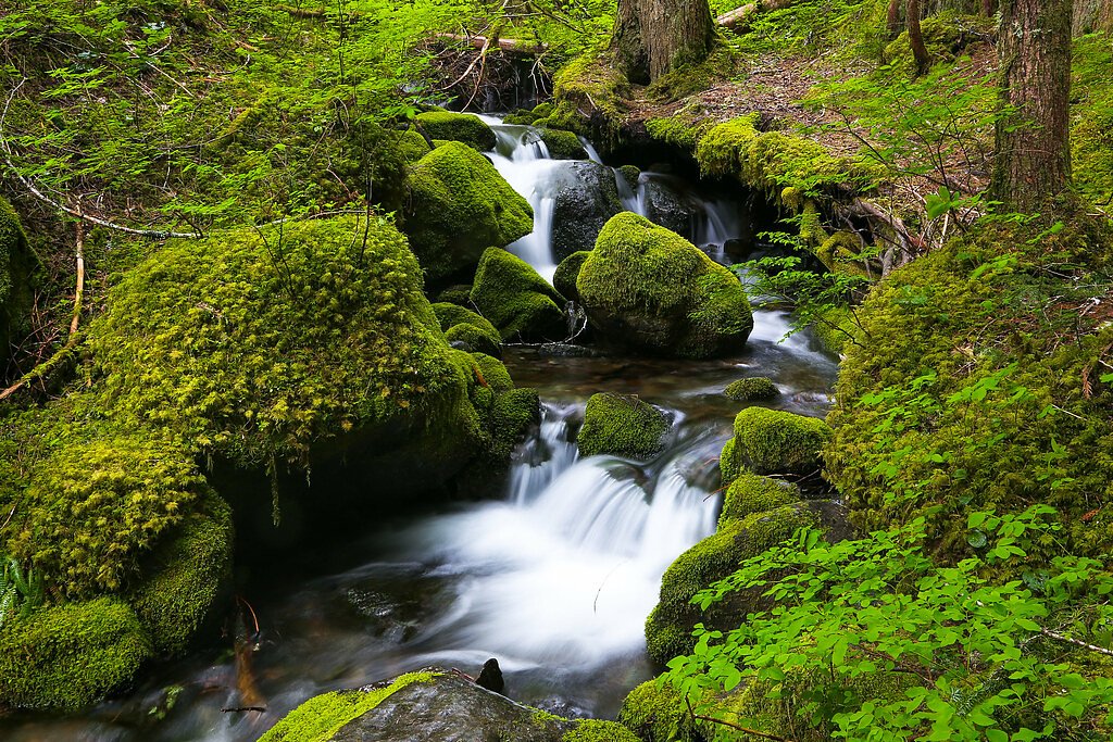 Silver Falls waterfall