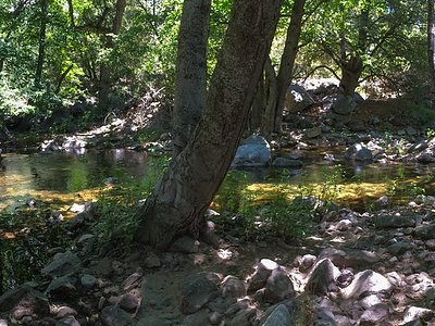 Silver Spray Falls