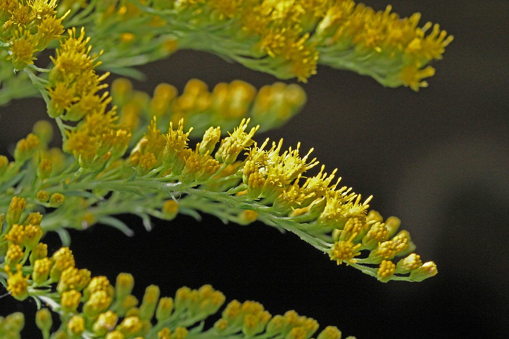 Sitting Bull Falls waterfall